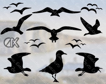 Gabbiano - Pacchetto combinato v2 | 13 variazioni | Sagome | Cricut | scarica come [svg | png | jpg | spec | pdf | webp] (senza sfondo)