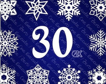 30 fiocchi di neve in diverse forme • Modelli ideali per creare e creare motivi natalizi