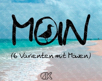 Moin mit Möwe | deutsche Begrüßung im Norden | 6 Varianten | digitaler Download | svg  png  jpg  pdf und webp | Spruch | ohne Hintergrund
