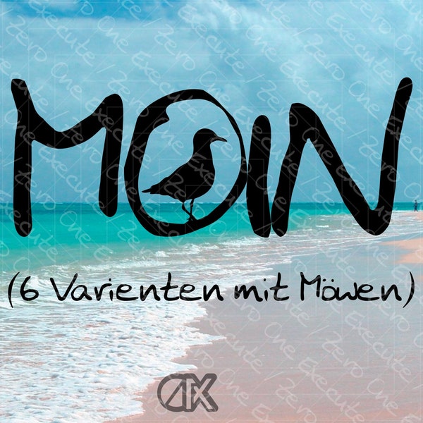 Moin mit Möwe | deutsche Begrüßung im Norden | 6 Varianten | digitaler Download | svg  png  jpg  pdf und webp | Spruch | ohne Hintergrund