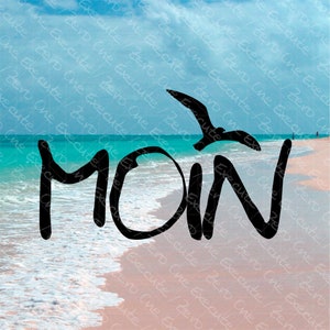 Puede incluir: Dise&ntilde;o gr&aacute;fico en blanco y negro de la palabra "M&Ograve;N" con una gaviota volando sobre la palabra. El fondo es una escena de playa con agua azul y arena blanca.