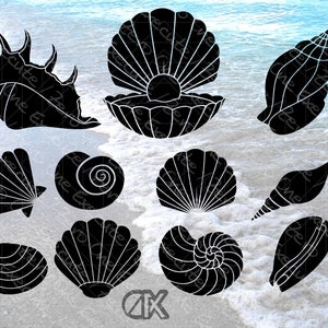 Op de afbeelding: Een set van tien zwart-wit silhouetbeelden van verschillende schelpen. De schelpen zijn in verschillende vormen en maten, waaronder een sint-jakobsschelp, een schelp, een nautilus en een tweekleppige.