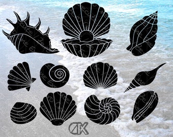 Conchiglie - Pacchetto combinato | 11 varianti | sagome | Cricut | Clipart | scarica come [svg | png | jpg | pdf | webp] (senza sfondo)