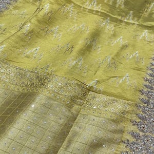 Pure banarsi tissue organza with contrast  blouse