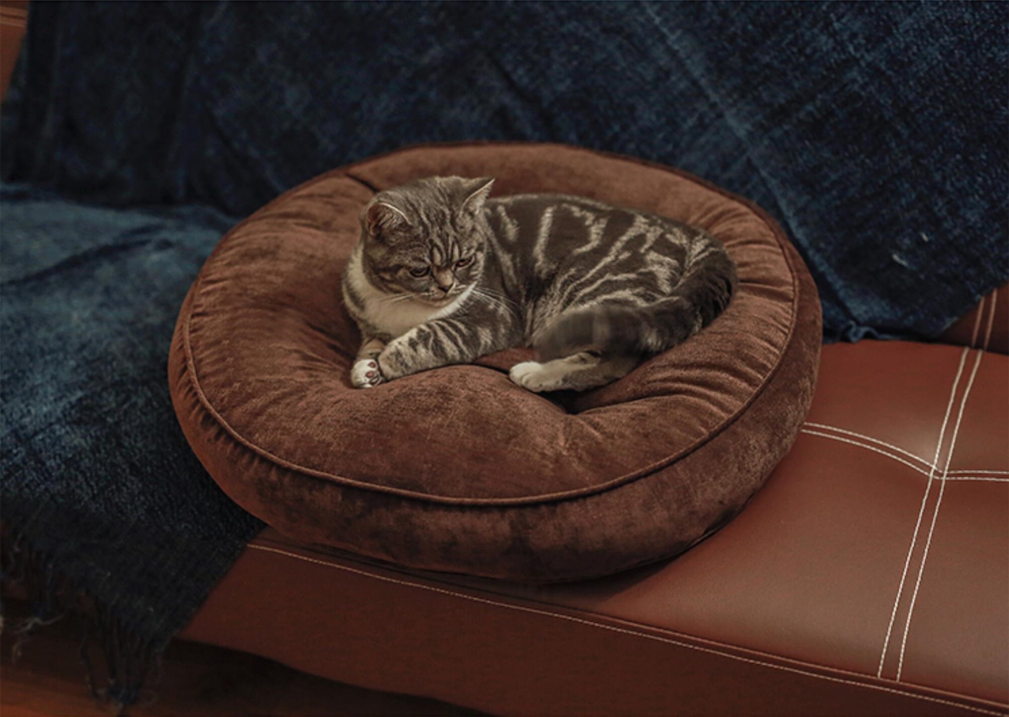 Thick Floor Cushion Multi Colors Floor Cushions Corduroy Etsy