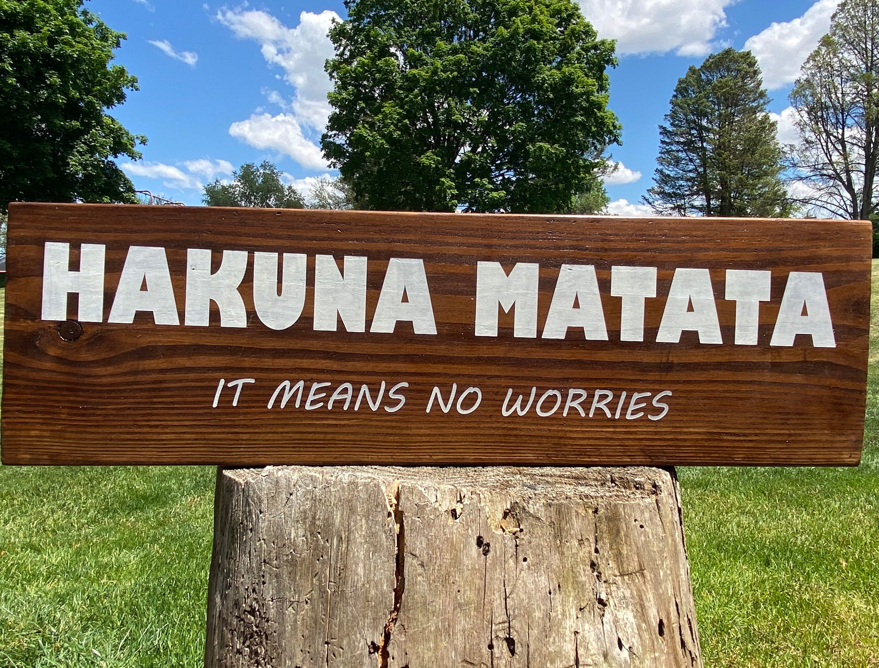 Hakuna Matata Es bedeutet keine Holz Zeichen Holzschilder Individualisierbare