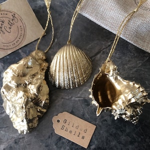 Hanging Gold Shell Decorations | Beach Wedding Coastal Decor, Xmas Shell Ornaments, Gold Shell Photo Prop | Wedding Shell Decor Murex Oyster
