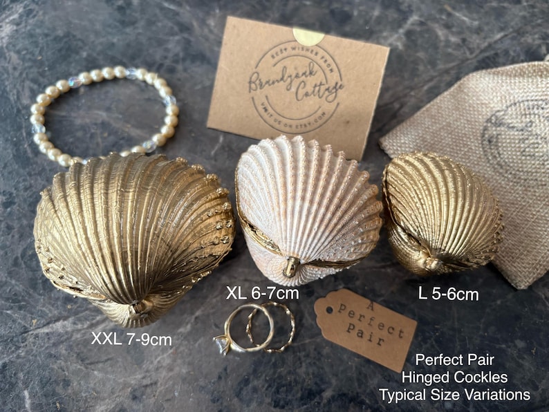 Puede incluir: Cajas de concha con bisagras de varios tama&ntilde;os, de 5-9 cm, en dorado y crema. La imagen incluye una pulsera de perlas y dos anillos. Una etiqueta dice "Perfect Pair".