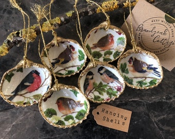 Puede incluir: Seis conchas blancas con ribetes dorados, cada una decorada con una ilustración de pájaro diferente. Las conchas están colgadas de una rama con hilo y tienen un borla dorada. El texto "Hanging Shells" está en una etiqueta marrón.
