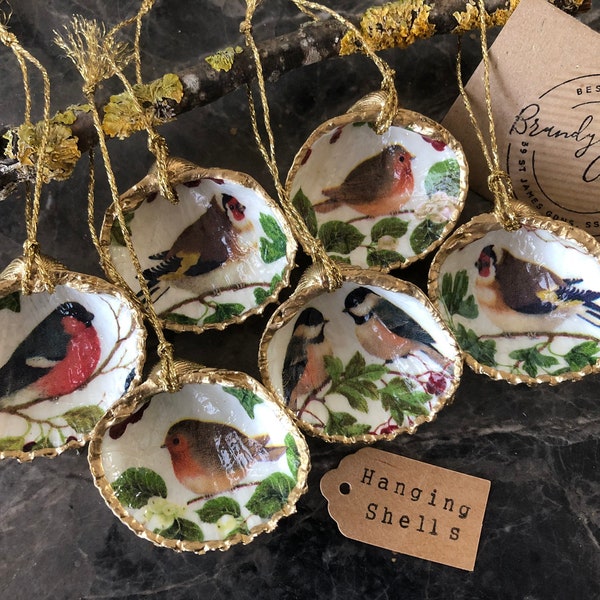 Garden Birds Cockle Shell Ornaments, Robin Christmas Decorations, Bullfinch, Goldfinch, Chickadee British Birds Decor; Garden Birds Gifts UK