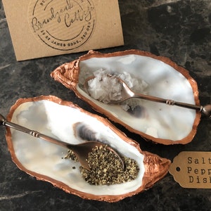 May include: Two copper-coloured oyster shells with matching spoons, filled with salt and pepper. A brown tag reads "Salt & Pepper Dishes".