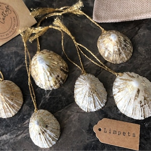 May include: Six white seashells with gold accents, each with a gold string attached, are arranged on a dark surface. A small brown tag with the word "Limpets" is in the lower right corner of the image.