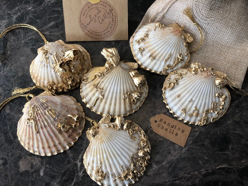 May include: Six white seashells with gold accents and a gold ribbon hanging from each. The shells are decorated with gold paint and have a rustic, coastal feel. The shells are hanging from a brown surface with a tag that reads "Hanging Shells".