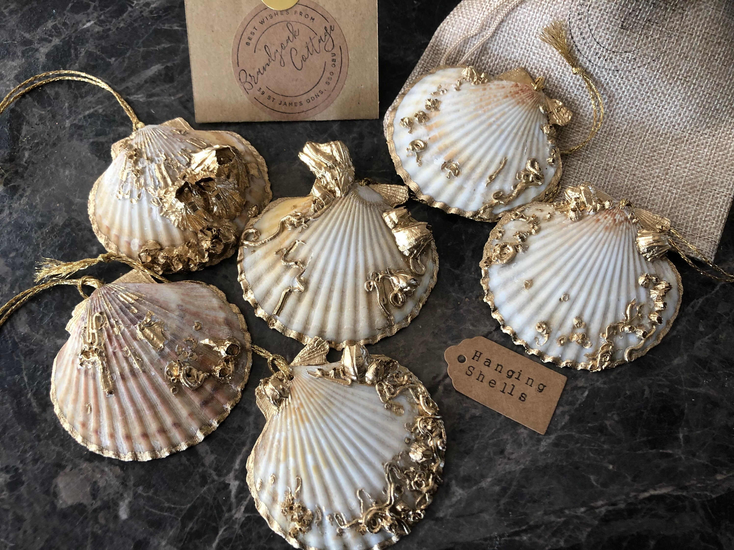 Gilded Shell Hanging Gilded Silver Shells, Scallop Decorations, Barnacle Shell ...