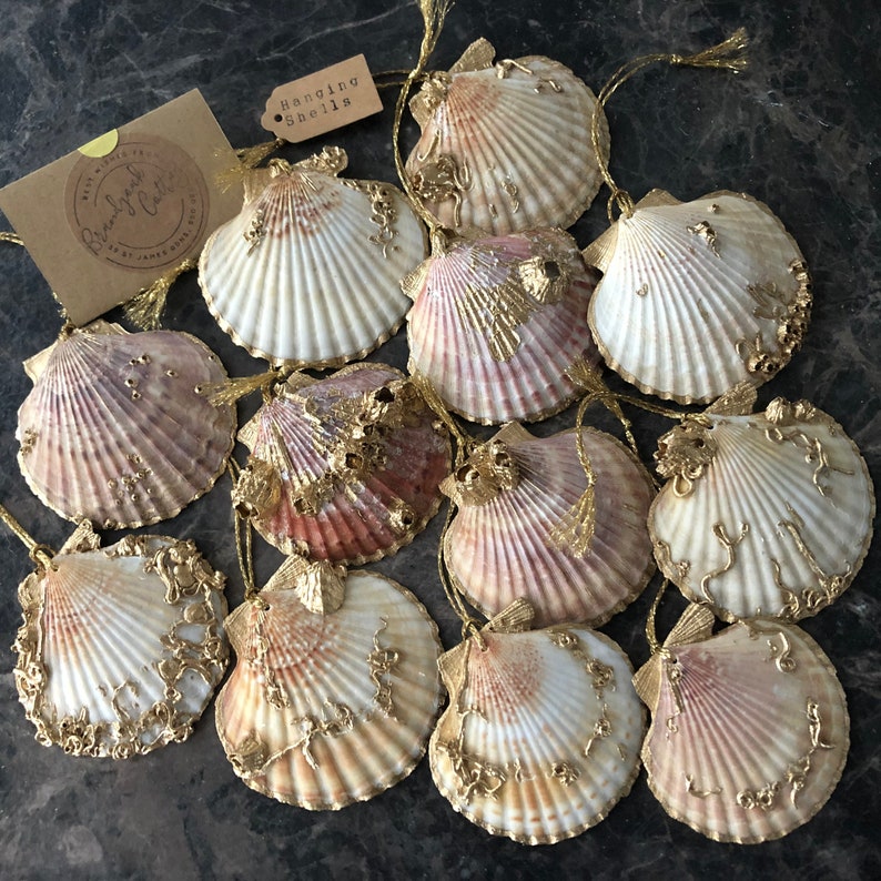 May include: Twelve gold-painted scallop shell ornaments with a hanging loop and a gold tassel. The shells are arranged in a cluster on a dark surface. The text "Hanging Shells" is visible on a small tag.