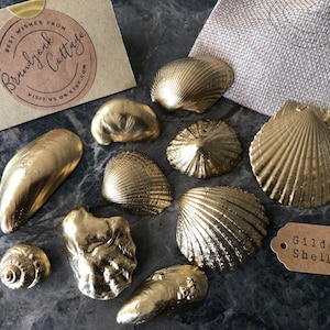 Gold Shell Decorations | Beach Wedding Coastal Decor, Shell Ornaments, Gold Shell Photo Flat Lay | Shell Decor, Wedding Shell Decor UK