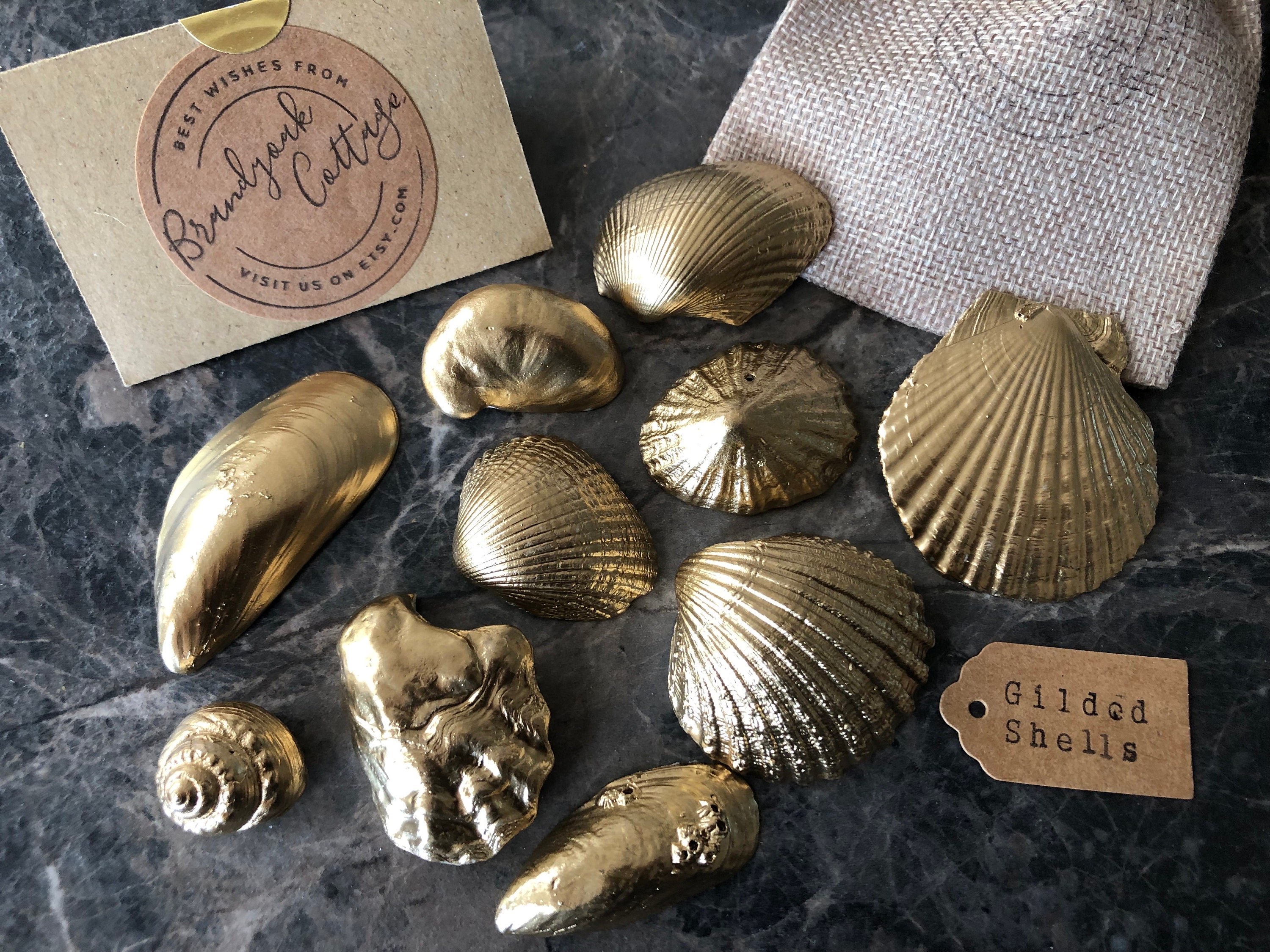 Vintage Brass Seashell Shell Wall Hangings Nautical Decor 
