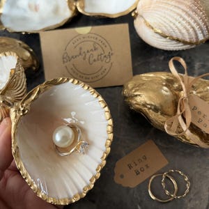Real Seashell Ring Box for Beach Proposals | Various Cockle or Oyster ...