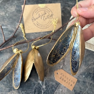 May include: Gold-painted hanging shells with dark interiors and gold accents. The shells are suspended by gold cords and are displayed with a small tag that reads "Hanging Shells". A small brown tag with the text "Brandyjack Cottage" is also visible.