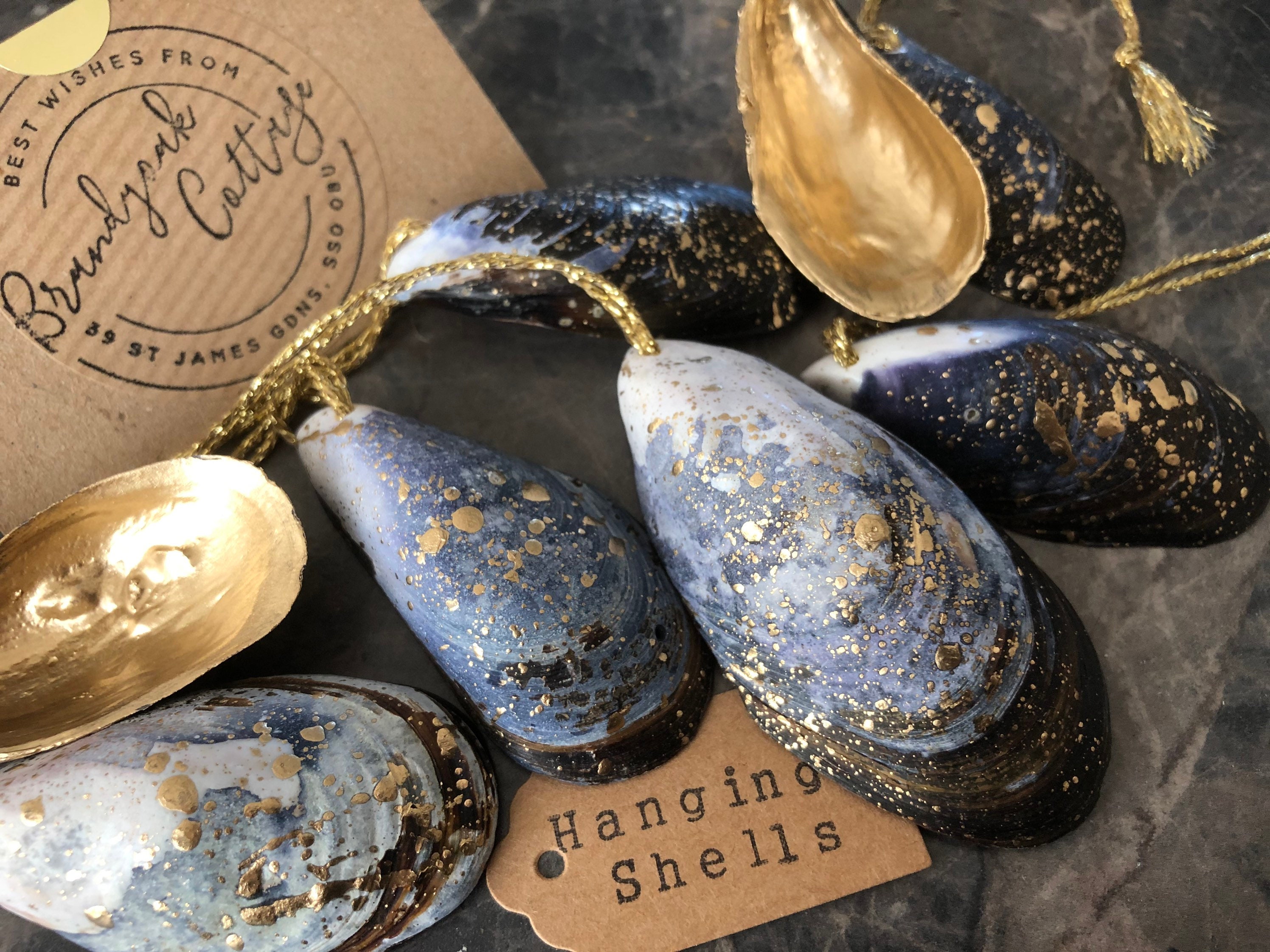 Gilded Shell Gilded Mussel Shell Seashell Ornaments, Shell Christmas Decorations ...
