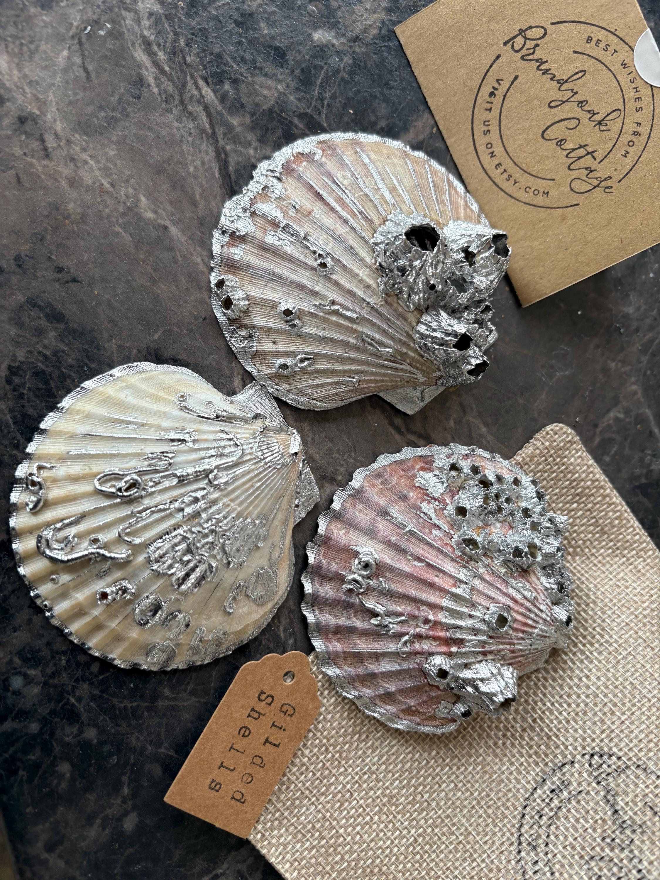Hanging Gilded Silver Shells, Scallop Decorations, Barnacle Shell ...