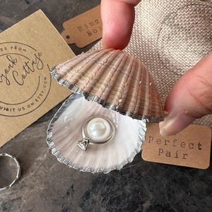 Real Seashell Ring Box for Beach Proposals | Gold or Silver Cockle Shell Ring Box Hinged or Unhinged | Beach Wedding Shell Ring Bearer