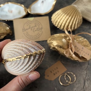 Real Seashell Ring Box for Beach Proposals | Various Cockle or Oyster ...