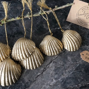 Festive Gold Shell Christmas Decorations Large Spiny Cockle Shells ...