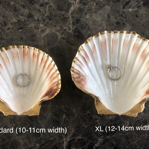 Puede incluir: Dos conchas blancas con ribete dorado, utilizadas como porta anillos. La concha m&aacute;s peque&ntilde;a est&aacute; etiquetada como "Standard (10-11 cm de ancho)" y la m&aacute;s grande como "XL (12-14 cm de ancho)".