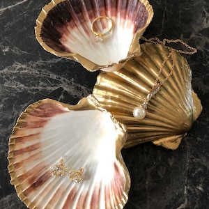 Puede incluir: Dos conchas pintadas de oro con un interior blanco. La concha m&aacute;s grande tiene un collar de cadena dorada con un colgante de perla en el interior. La concha m&aacute;s peque&ntilde;a tiene un anillo de oro con una piedra transparente y un par de pendientes de oro con piedras transparentes en el interior.