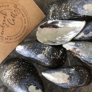 Natural Blue & Silver Gilded Spatter Mussel Shells Table Decor, Beach Wedding Coastal Decor, Sea Shell Ornaments, Shell Wedding Decorations