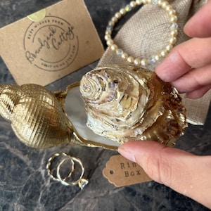 Ready made: Whelk + Oyster Shell Ring Box | Gilded Real Seashell Ring Box Proposals or Beach Wedding, Unique Shell Ring Bearer Holder
