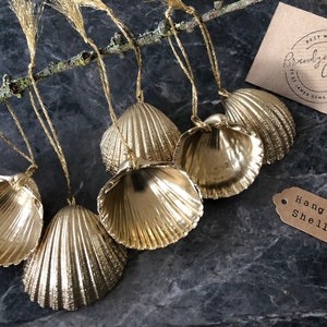 Festive Gold Shell Christmas Decorations  Large Spiny Cockle Shells | Gold Shells, Shell baubles, Shell ornaments