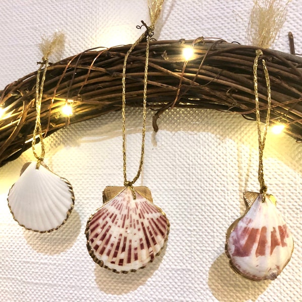 Sea Shell Christmas Decorations, Shell Ornaments | Gold edged pink seashell decorations, Coastal Decor, Beach Christmas | Handcrafted UK