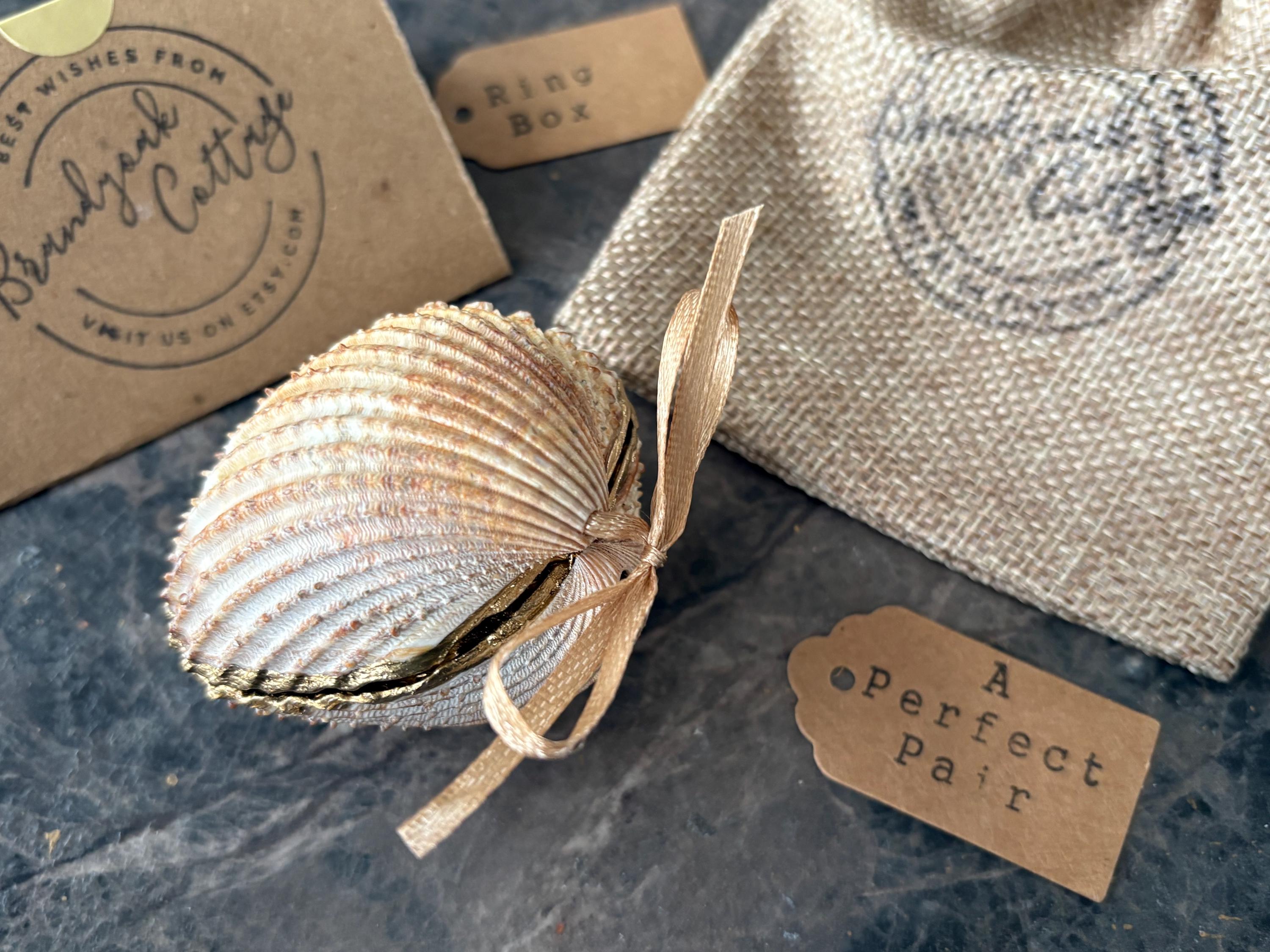 Shell With Ribbon Cockle Shell Ring Box With Ribbon Hinge White Green Lily Valley ...