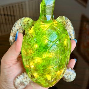 May include: A translucent lime green resin sea turtle figurine featuring an internal string of warm white LED lights. The turtle's flippers are embedded with small, natural tan and white seashells, creating a textured contrast to the smooth body.