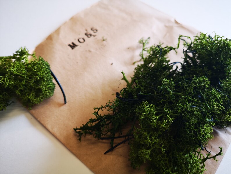 Artificial Moss / Reindeer Moss / Decorative Floristry / Air Etsy