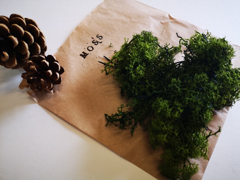 Artificial Moss / Reindeer Moss / Decorative Floristry / Air Etsy