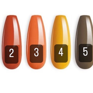 Solid Color Press-On Nails | Solid Color Nails | Pick Your Own Color | Gloss or Matte | Press On Nails | Fake Nails | Glue On Nails | Autumn