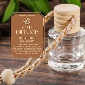 Difusor colgante para coche, regalo para coche nuevo, difusor colgante para coche, accesorios para coche, ambientador colgante para coche, ambientadores para coche, ambientador para coche