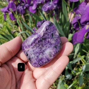 Charoite Palmstone/Freeforms/Purple Shimmer/Tinaksite image 7