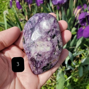 Charoite Palmstone/Freeforms/Purple Shimmer/Tinaksite image 3