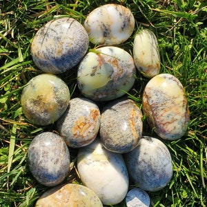 Dendritic Opal Palm Stone/ moss opal/ Merlinite