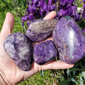 Charoite Palmstone/Freeforms/Purple Shimmer/Tinaksite