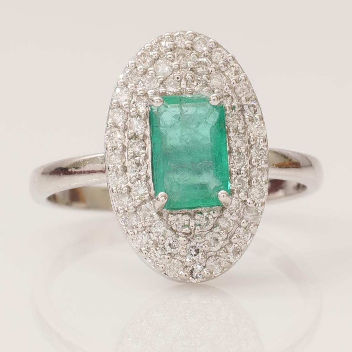 Main Image Bottom 0-1