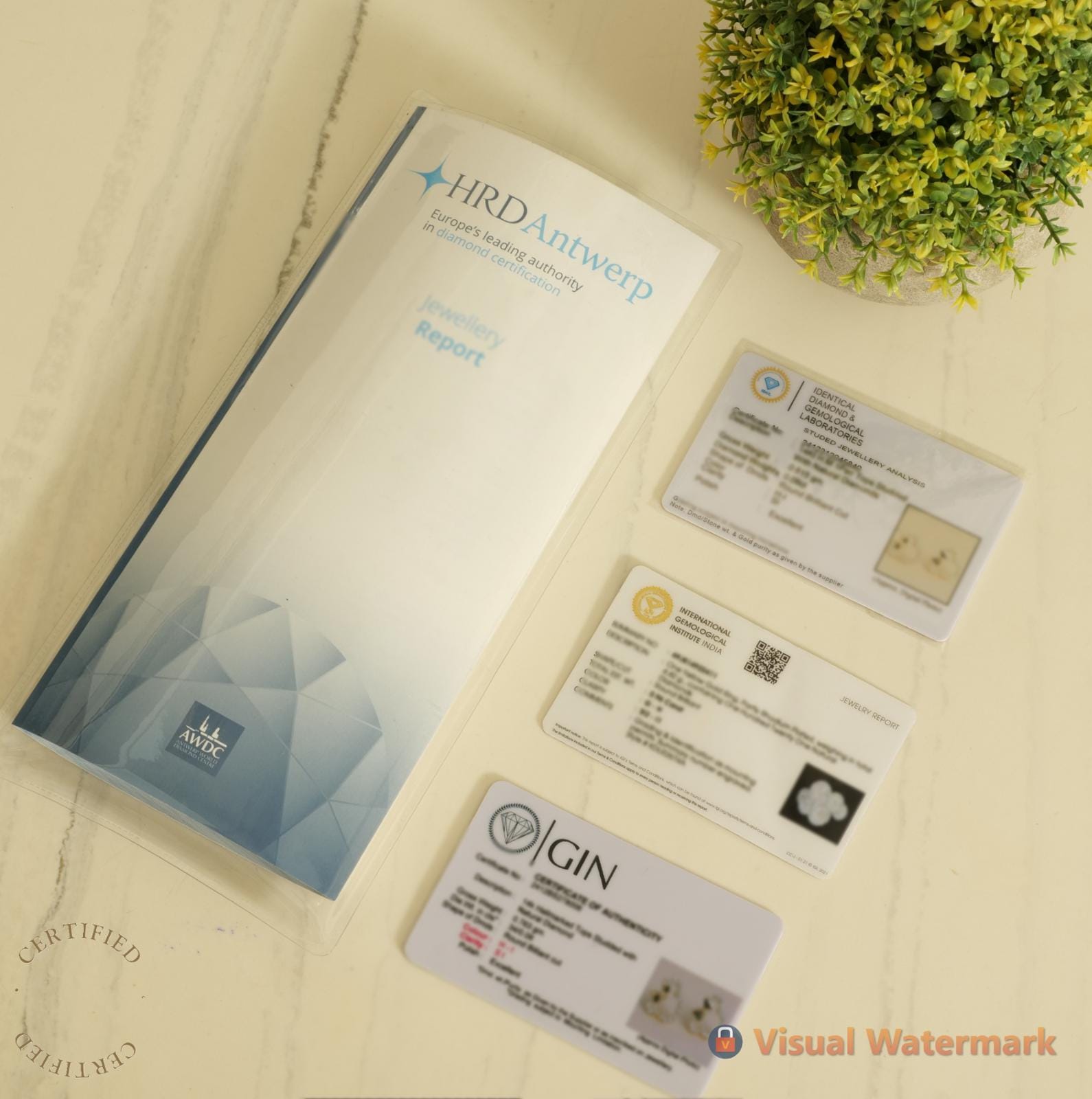 Main Image Bottom 0-2