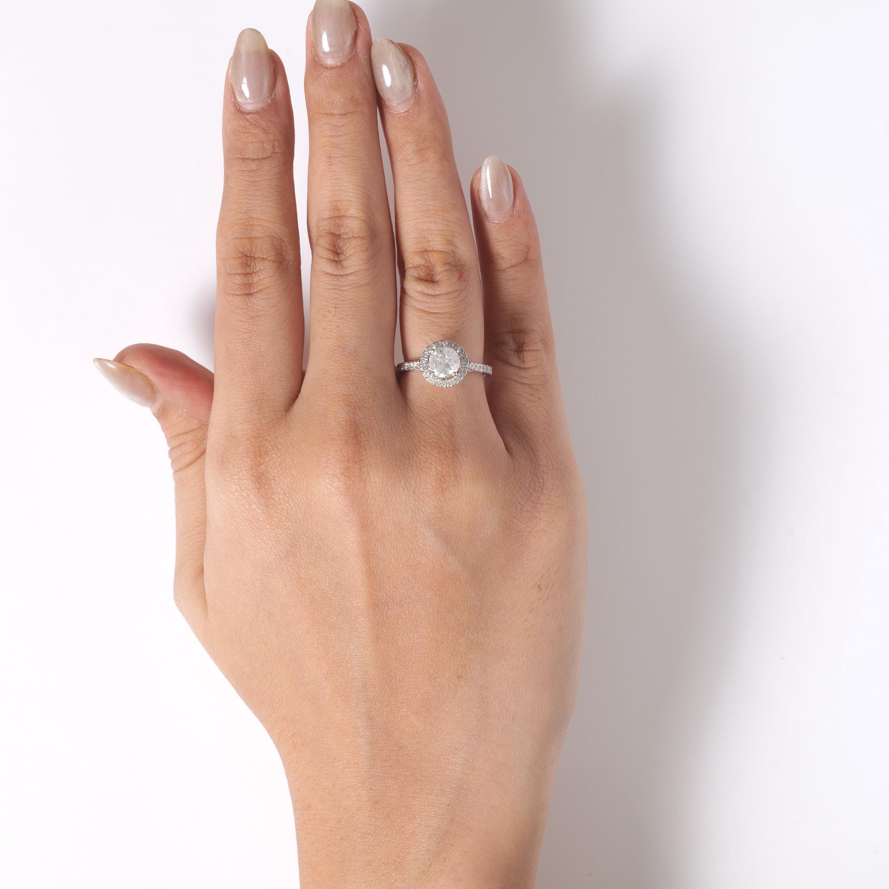 Main Image Bottom 0-4