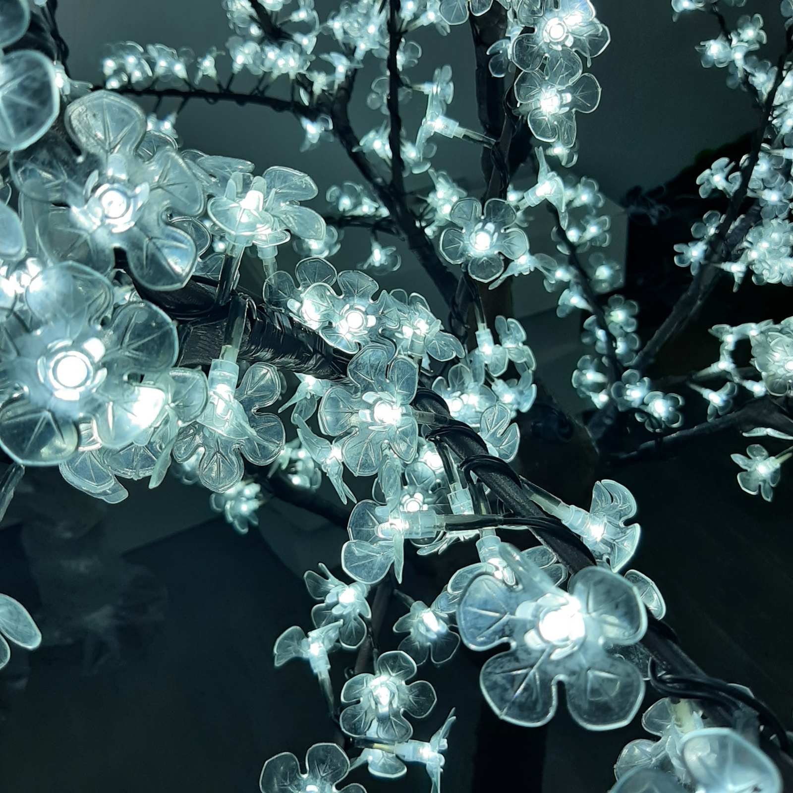 LED