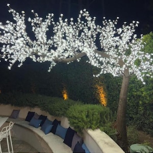 Puede incluir: Un árbol blanco iluminado con luces blancas, creando un dosel sobre un banco de piedra curvo con cojines azules. El banco está en un jardín con vegetación verde.