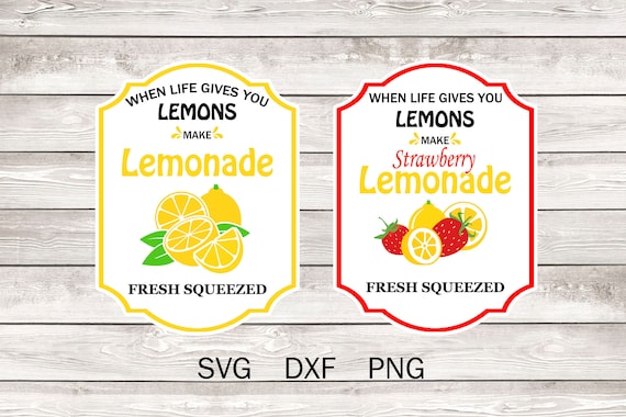 If Life Gives You Lemons Make Lemonade - 20 oz Skinny Tumbler
